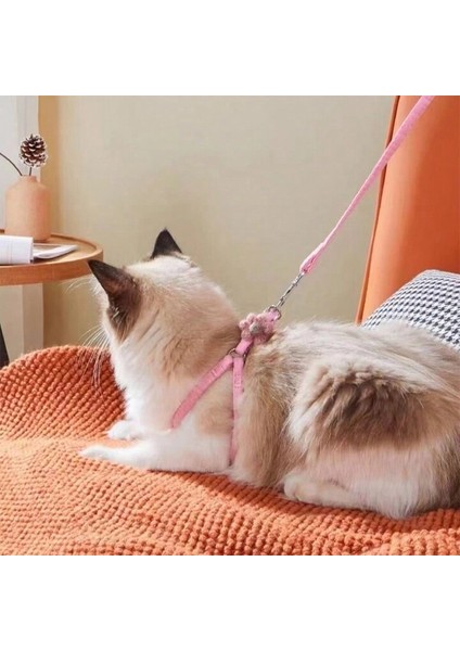 Kedi Gezdirme Göğüs Tasması