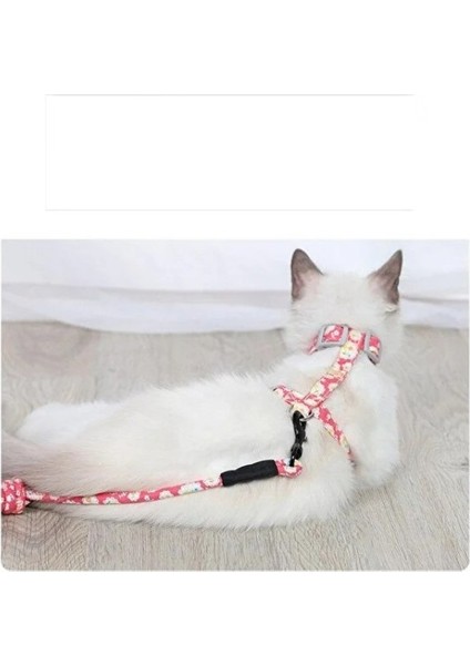 Kedi Gezdirme Göğüs Tasması