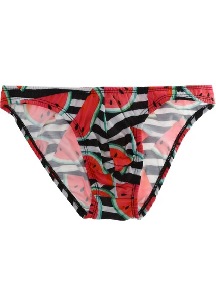 Dzn6061 Çok Renkli Erkek Slip