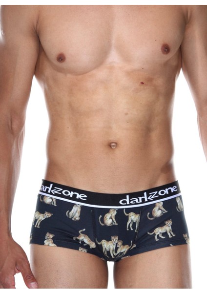 Dzn3311 Antrasit Erkek Boxer