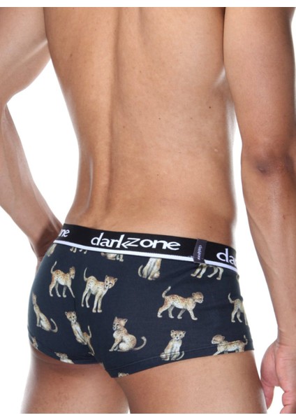Dzn3311 Antrasit Erkek Boxer