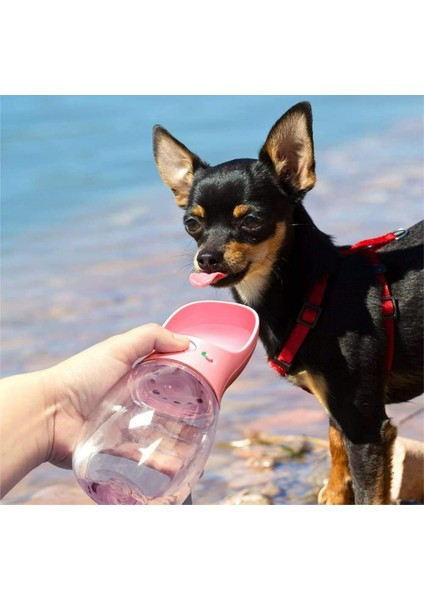 Taşınabilir Köpek Su Matarası