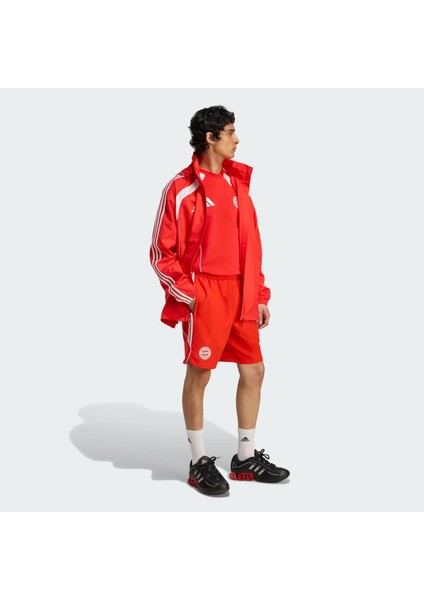 Fc Bayern Ubp Erkek Şort modelleri