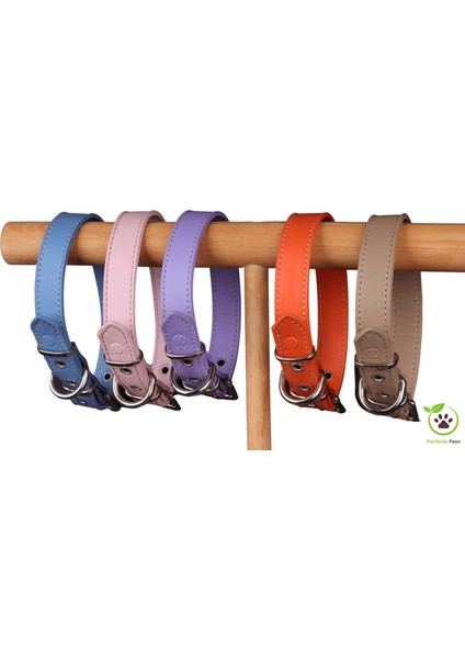 Köpek Boyun Tasması Kum Beji L Beden