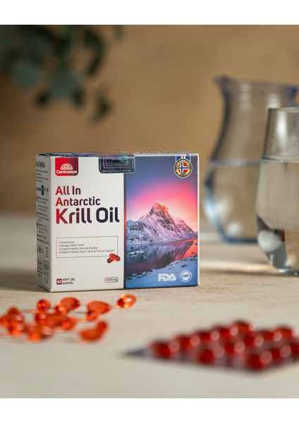 All In Antarctic Kril Oil fırsatları
