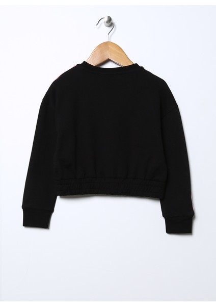 Sweatshirt, 3 Yaş, Siyah fiyatları