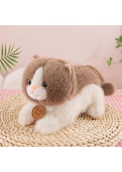25CM Sevimli Kedi Peluş Oyuncak Bebek Bebek Yastık Hediye (Yurt Dışından)