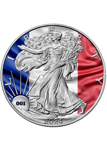 Fransa Bayrağı Gümüş Sikke Coin