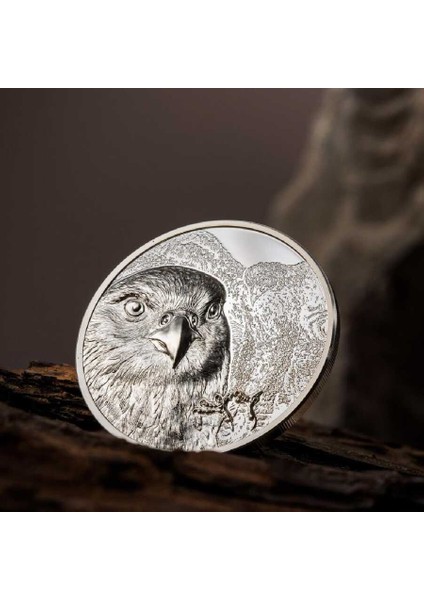Moğol Şahini Gümüş Sikke Coin modelleri