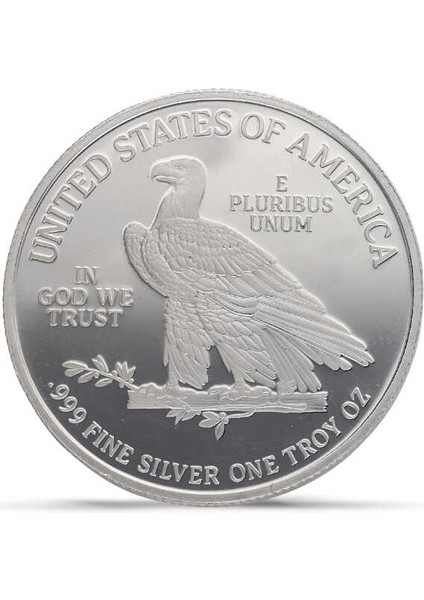 Amerikan Kartalı Gümüş Sikke Coin