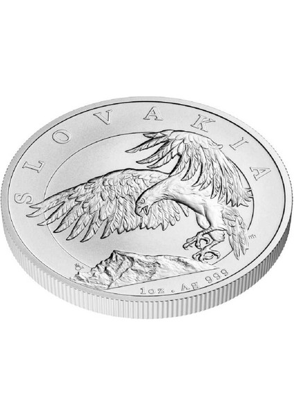 Kartal 2024 1 Ons Gümüş Sikke Coin modelleri