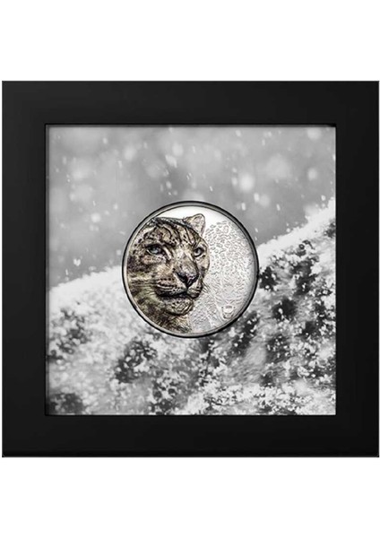 Kar Leoparı Gümüş Sikke Coin modelleri