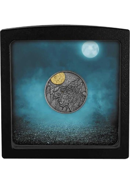 Vaşak Gümüş Sikke Coin fırsatları