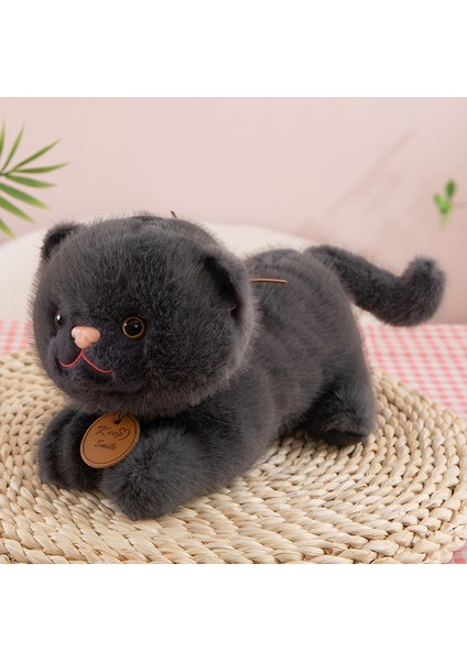 35CM Sevimli Kedi Peluş Oyuncak Bebek Bebek Yastık Hediye (Yurt Dışından)