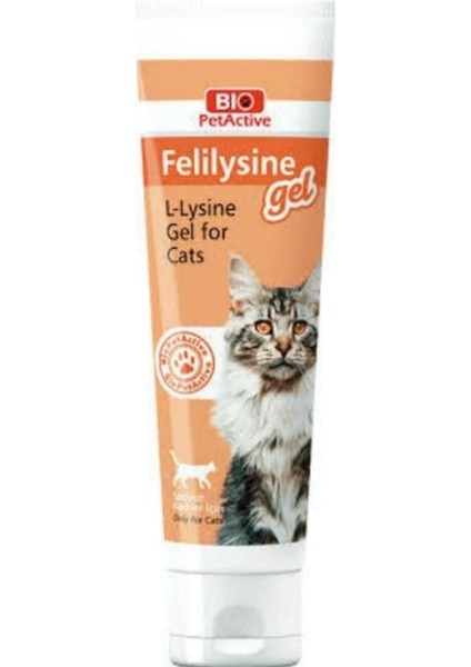 Bıo-Felilysine Kedi Lizin 90 Tablet