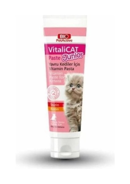 Vitalicat Paste Junior 100 ml