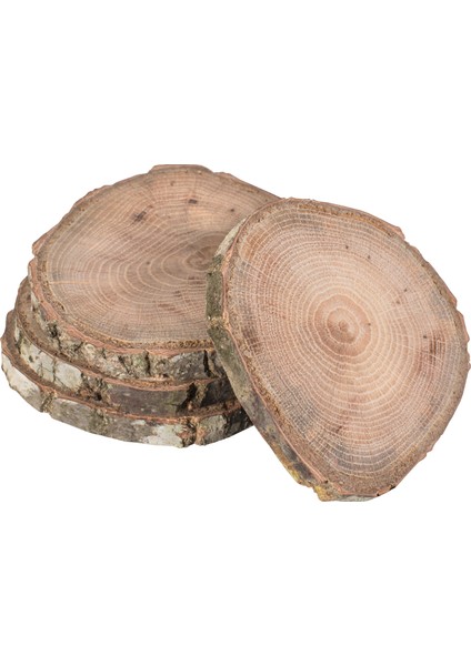 Ahşap Dal Dilimleri 8 -10 Cm. ( 4 Adet )