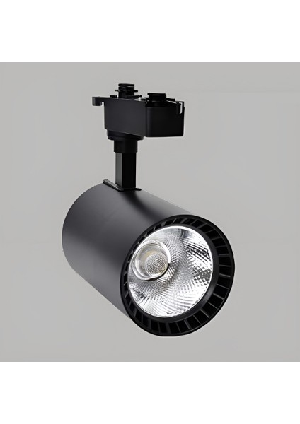 YRS-3000 30W LED Ray Spot Beyaz Işık 6500K