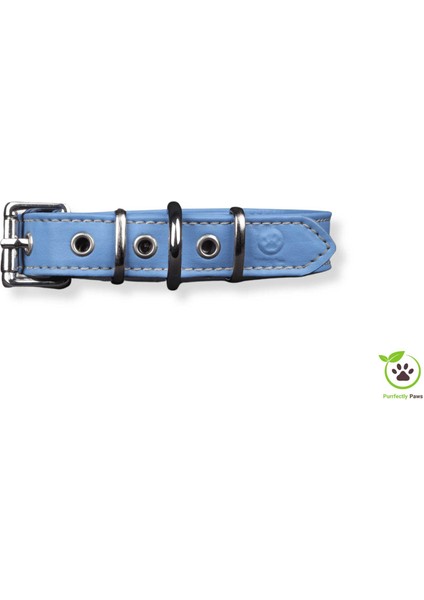 Köpek Boyun Tasması Deniz Mavisi