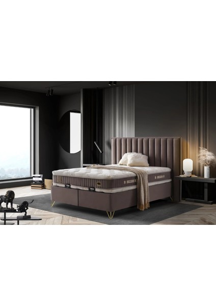 Paris Ultra Ortopedik Antialerjik 32CM 100*200 Yatak-Baza-Başlık Seti