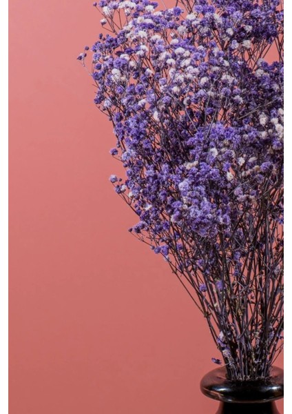 Kuru Mor Şoklanmış Demeti 45 cm Aranjman Buket