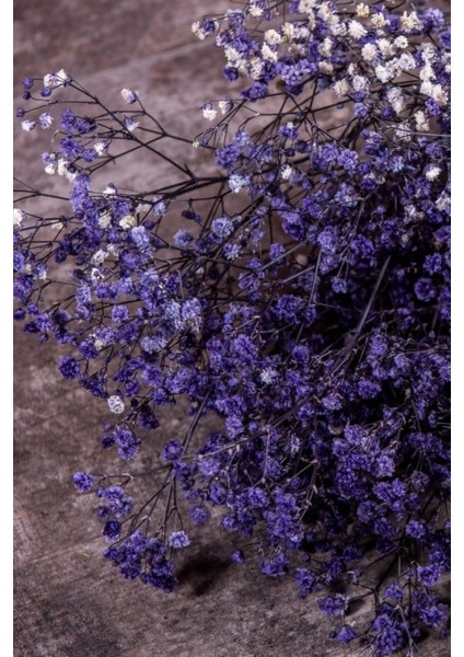 Kuru Mor Şoklanmış Demeti 45 cm Aranjman Buket fiyatları