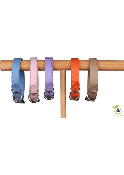 Köpek Boyun Tasması Bal Kabağı Turuncusu