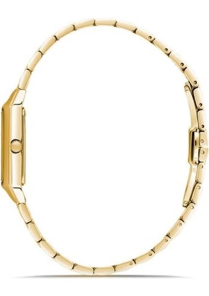 CW319G-09SG Kadın Kol Saati fiyatları