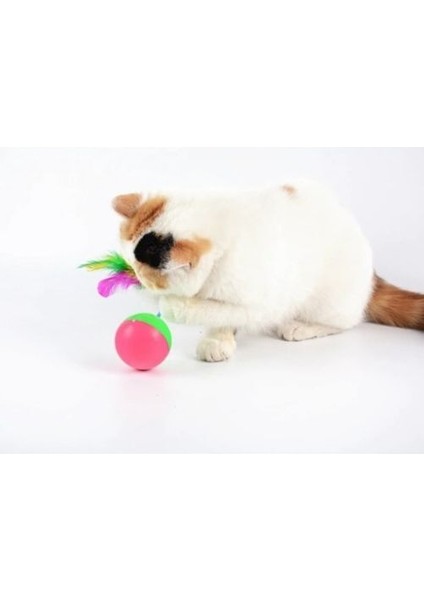 Kedi Fare Hacıyatmaz Oyunu fiyatları