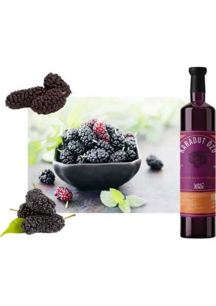 Karadut Özü 700 gr fiyatları