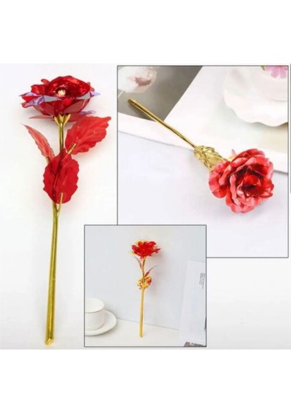 1 Adet Kırmızı Sonsuzluk Gülü Rengarenk Hologramli 24 cm fiyatları