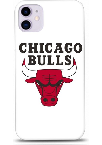 Chıcago Bulls Desenli iPhone 12 Mini Kılıfı