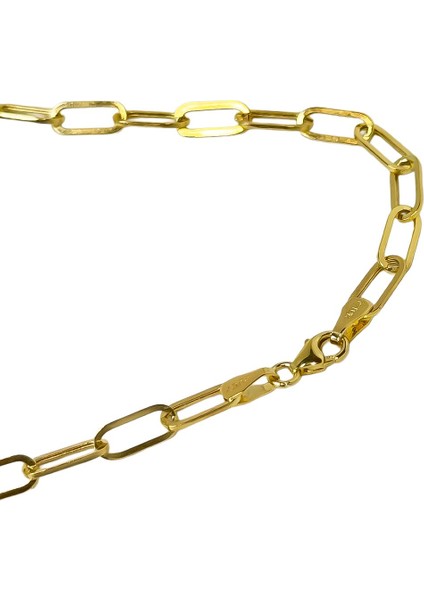 Agakulche Ataç 4 mm Altın Zincir