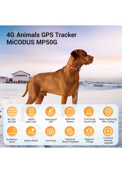 Micodus MP50G Gps Araç Takip Cihazı - Sım Kartlı, Mobil Uyumlu, Canlı Takip