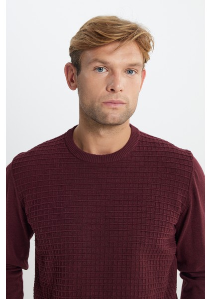 Pamuklu Standart Fit Normal Kesim Bisiklet Yaka Jakarlı Triko Kazak fırsatları