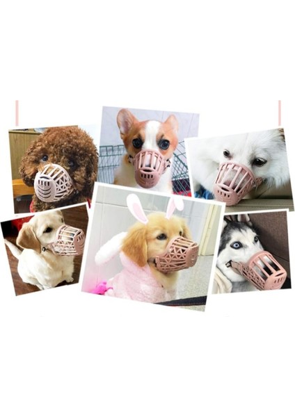 Köpek Koruma Ağızlığı 7'li Set