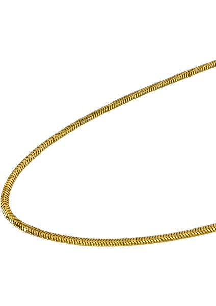 Agakulche Italyan Ezme Balık Sırtı 2,5 mm Altın Zincir