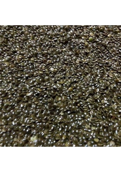 Dökme Tohumlar Isırgan Tohumu - 100 gr