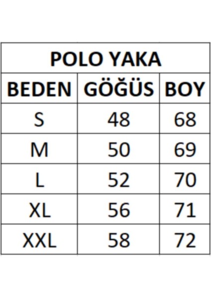 Polo Yaka Regular Fıt