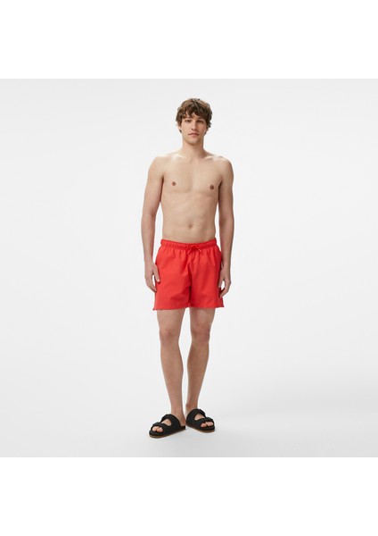 Erkek Kırmızı Regular Fit Deniz Şortu