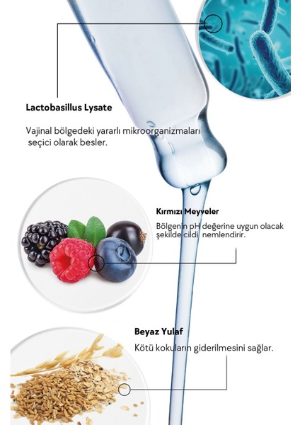 Genital Bölge Mantar ve Koku Giderici Floarayı Dengeleyen 75 ml Blueberry Intim Sprey