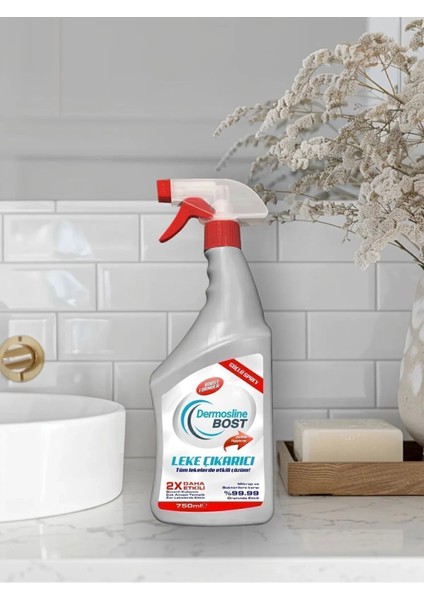 3'lü Dermosline Bost Leke Çıkarıcı 750 ml fırsatları