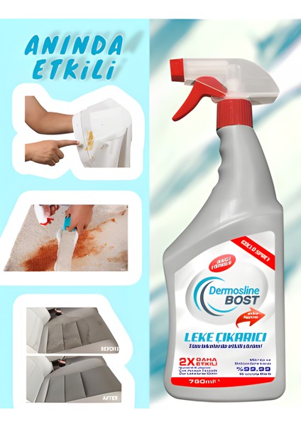 4'lü Dermosline Bost Leke Çıkarıcı 750 ml fiyatları