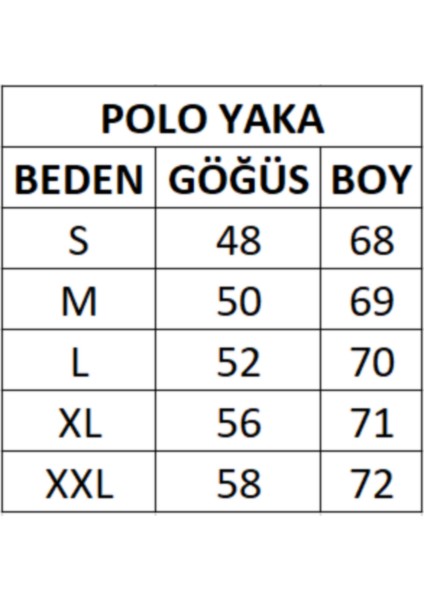 Polo Yaka Regular Fıt