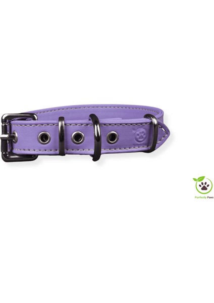 Köpek Boyun Tasması Hayal Lilası