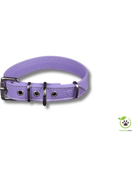 Köpek Boyun Tasması Hayal Lilası