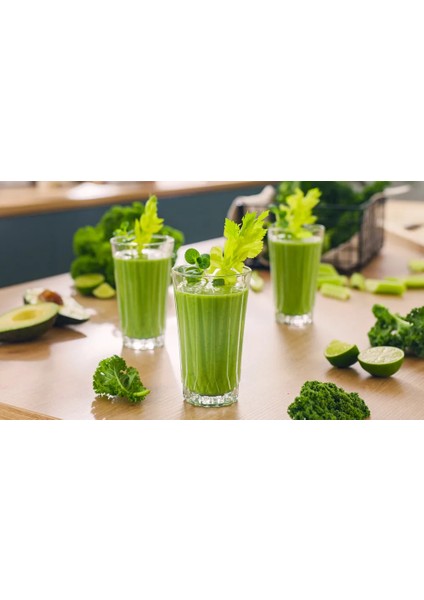 High Performance Blender Vitapower 1800 W Siyah