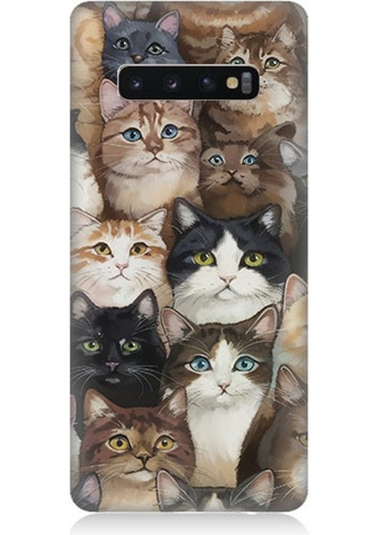 Samsung Galaxy S10 Plus Uyumlu Kedi Kalabalığında Kaos Desenli Silikon Kılıf