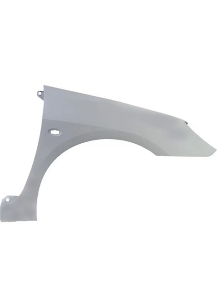 Ön Sağ Çamurluk 7841.N7 307