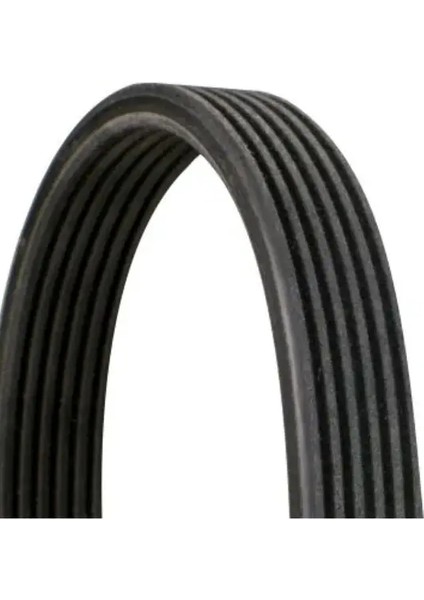Kanallı Kayıs 6PK1215 Caddy 1.9tdı Sdı 8V 04 2.0tdı 8V 07 Transporter T5 1.9tdı 0309